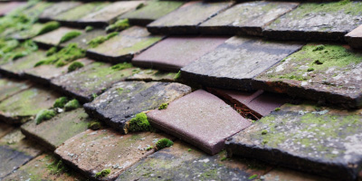 Hedsor roof repair costs